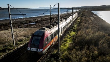 SNCF: بيع 100 ألف تذكرة قطار بحلول منتصف يوليو وحجز أكثر من 450 ألف تذكرة